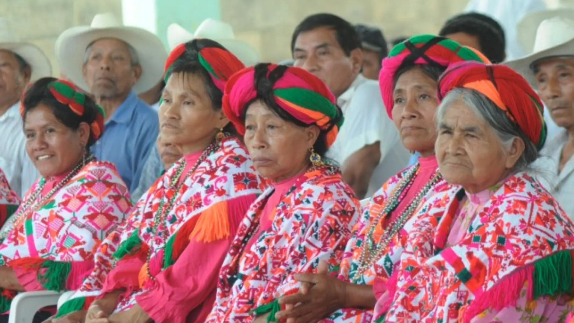 Pueblos Indígenas SLP